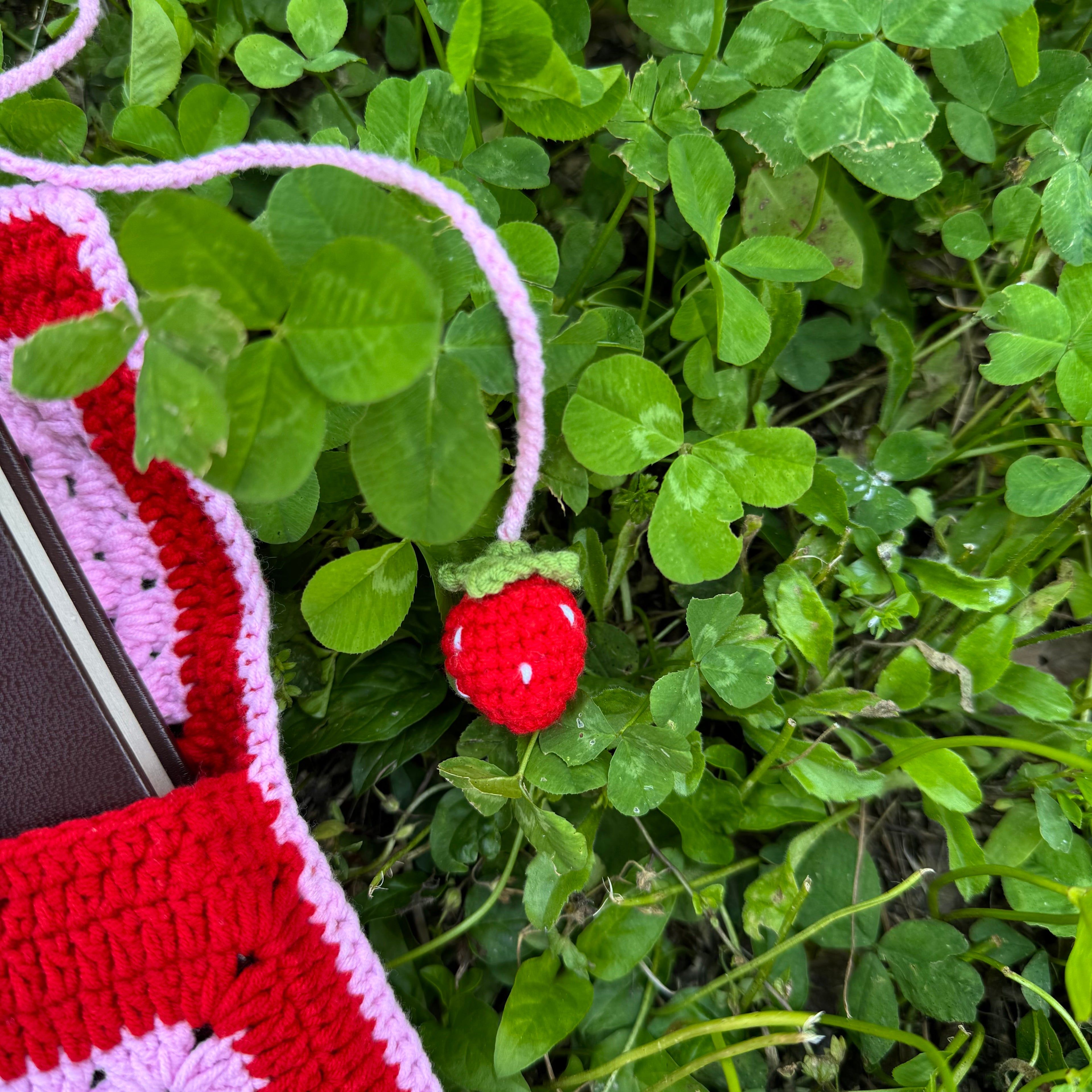 Handmade crochet book pouch| strawberry pattern