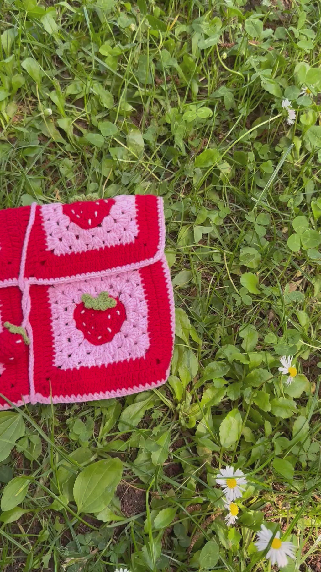 Handmade crochet book pouch| strawberry pattern